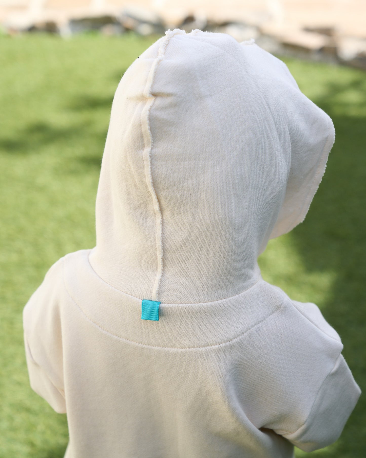Noah Hooded Sweatshirt